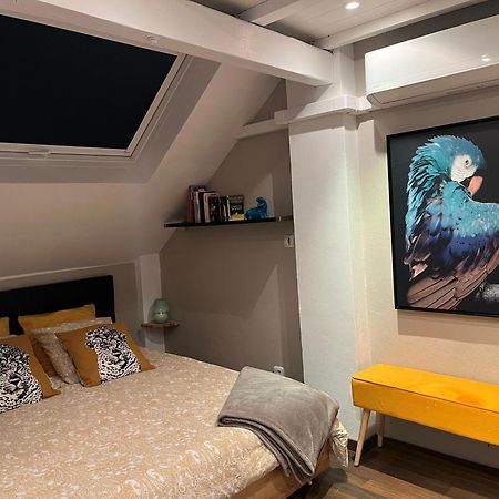 Charmant Duplex Privatise, Climatise, 2 Chambres Strasbourg Exteriör bild