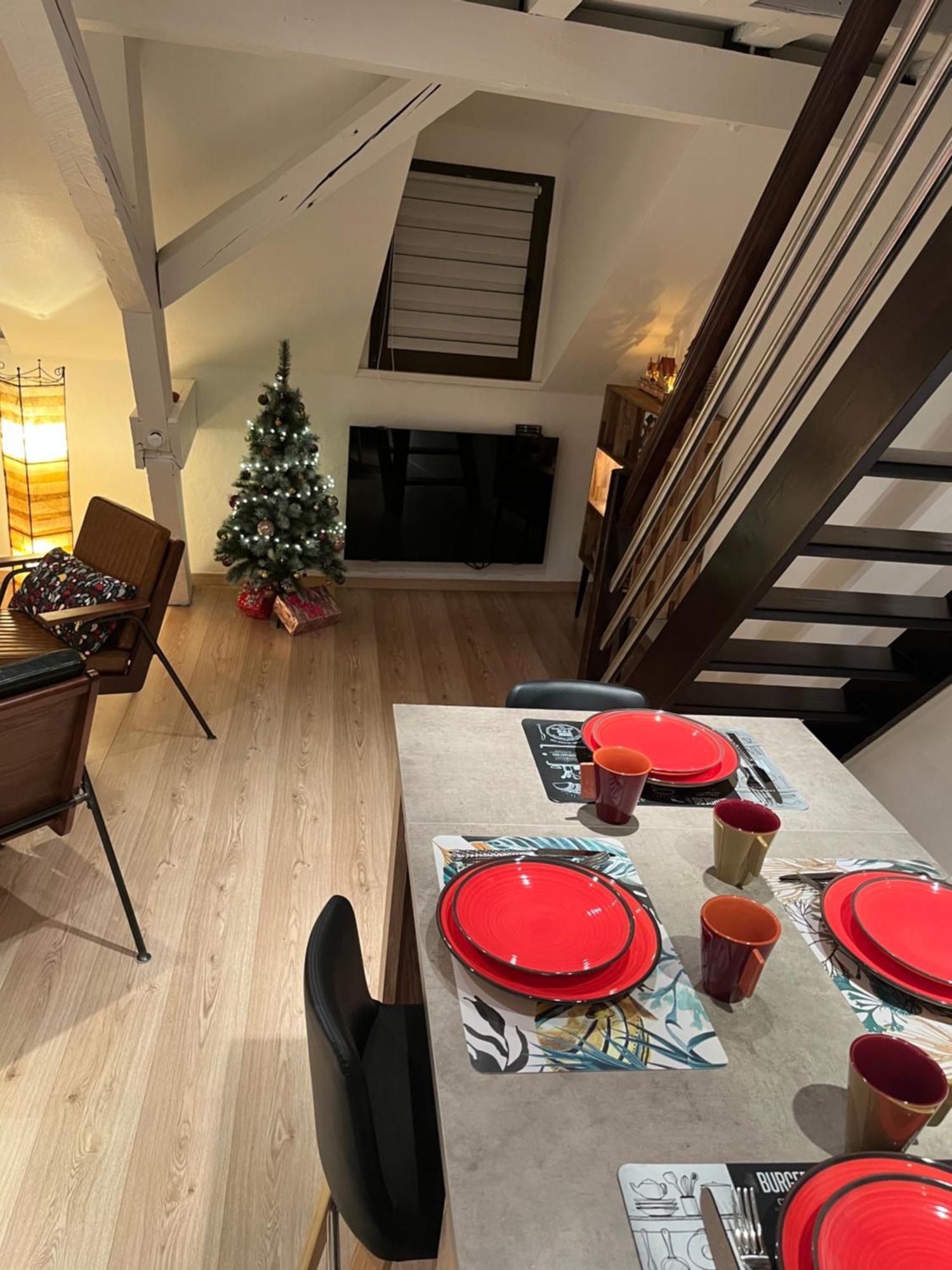 Charmant Duplex Privatise, Climatise, 2 Chambres Strasbourg Exteriör bild