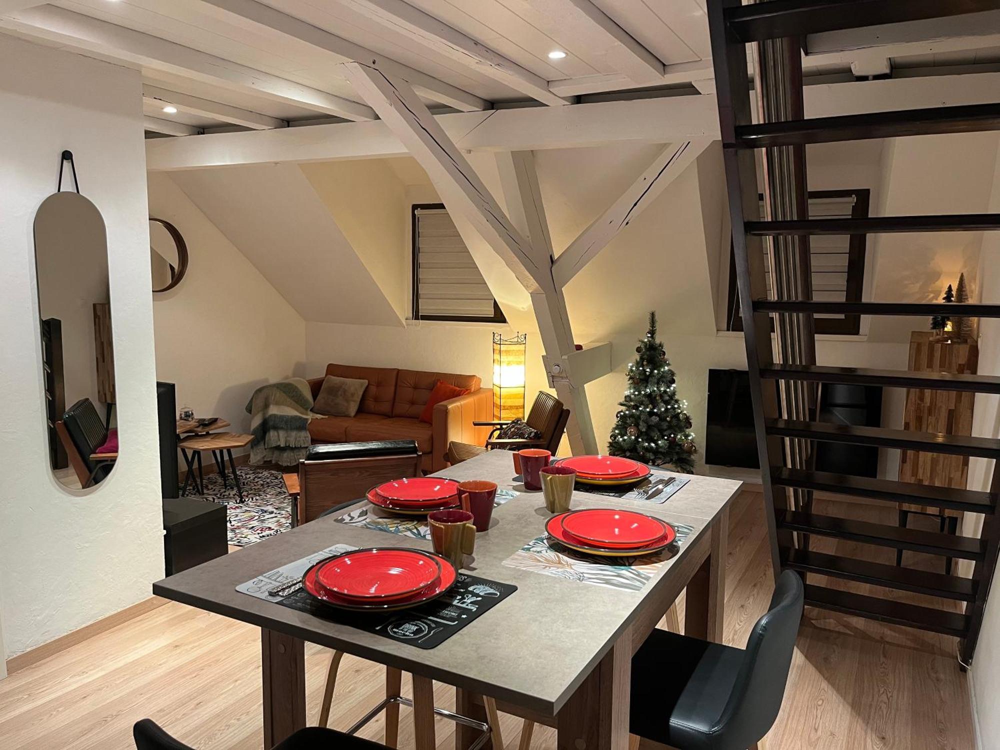 Charmant Duplex Privatise, Climatise, 2 Chambres Strasbourg Exteriör bild